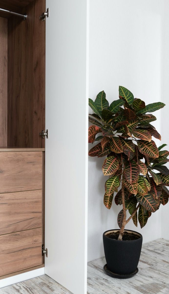 Hallway Design Ideas — Practical & Elegant Furniture